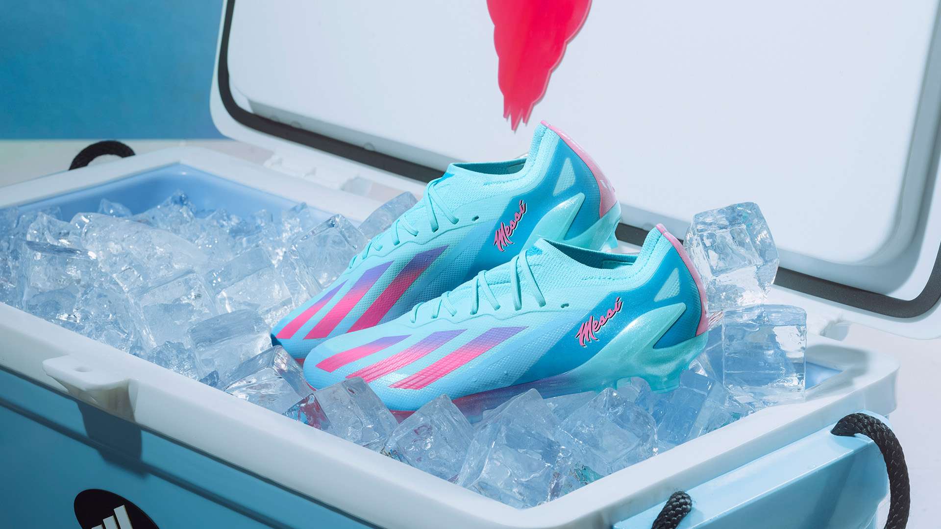 球迷期待 球迷期待